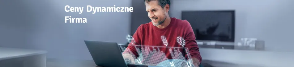 Ceny dynamiczne Ceny dynamiczne
